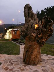 Árbol Fósil