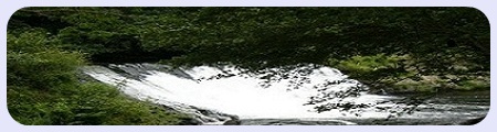 alternative text
