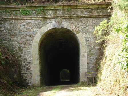 TUNEL