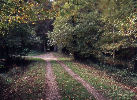 RUTA DEL FERROCARRIL