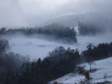 PAISAJE NEVADO